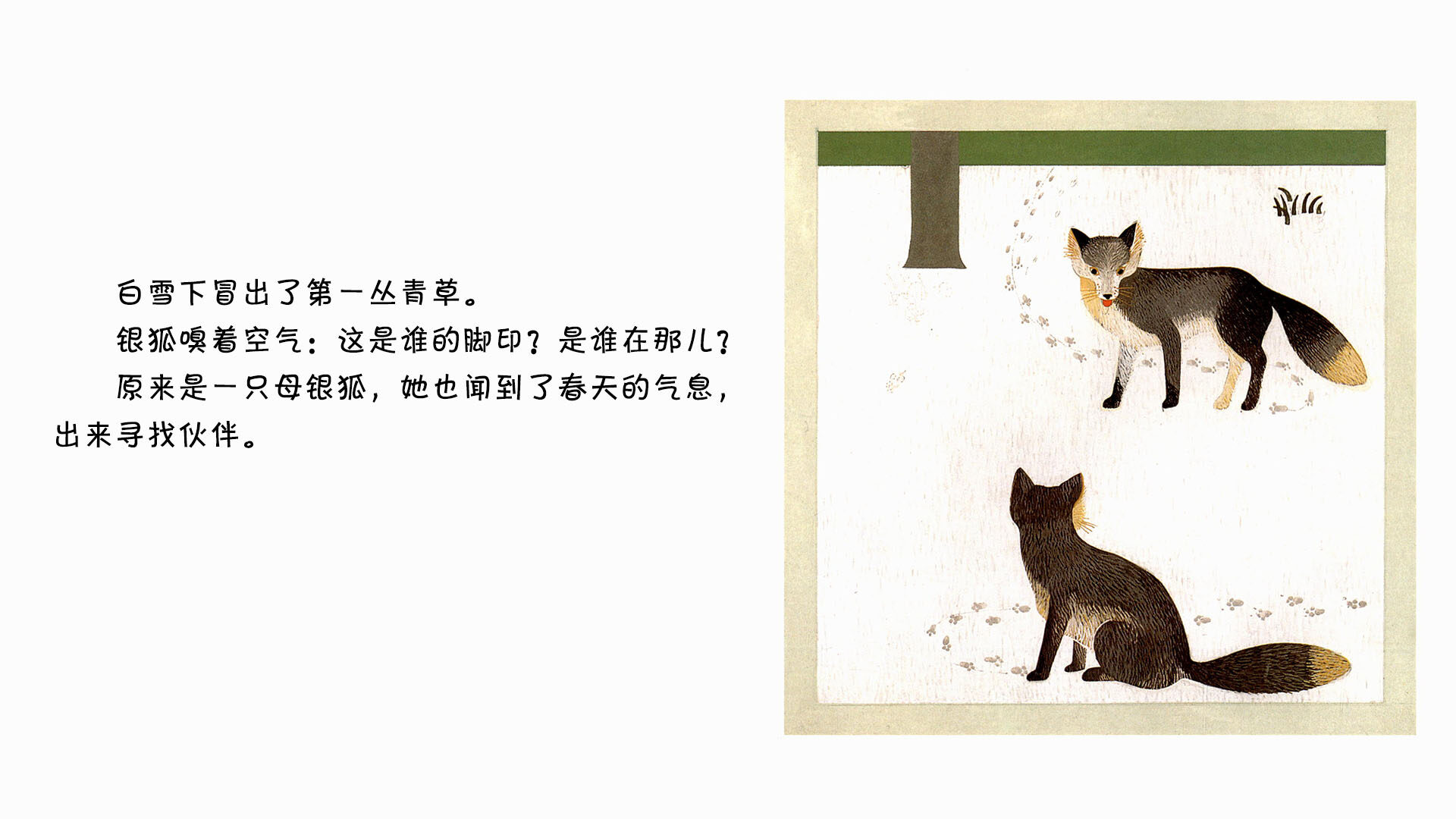 银狐绘本故事第4页