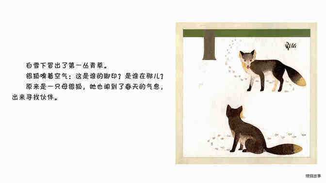 银狐绘本故事第4页