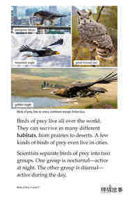Birds of Prey绘本故事第4页