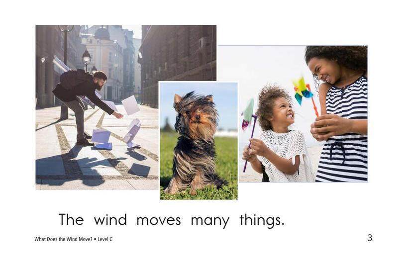 What Does the Wind Move绘本故事第3页