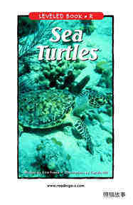 Sea Turtles