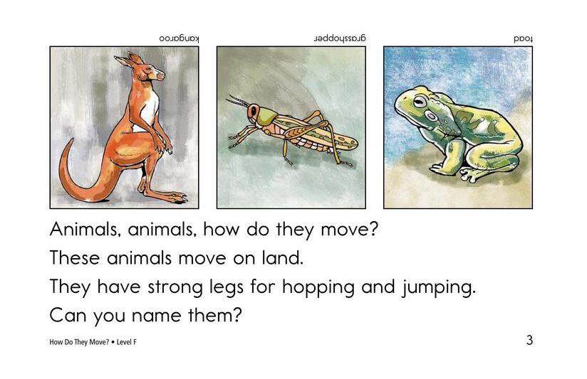 How Do They Move绘本故事第3页