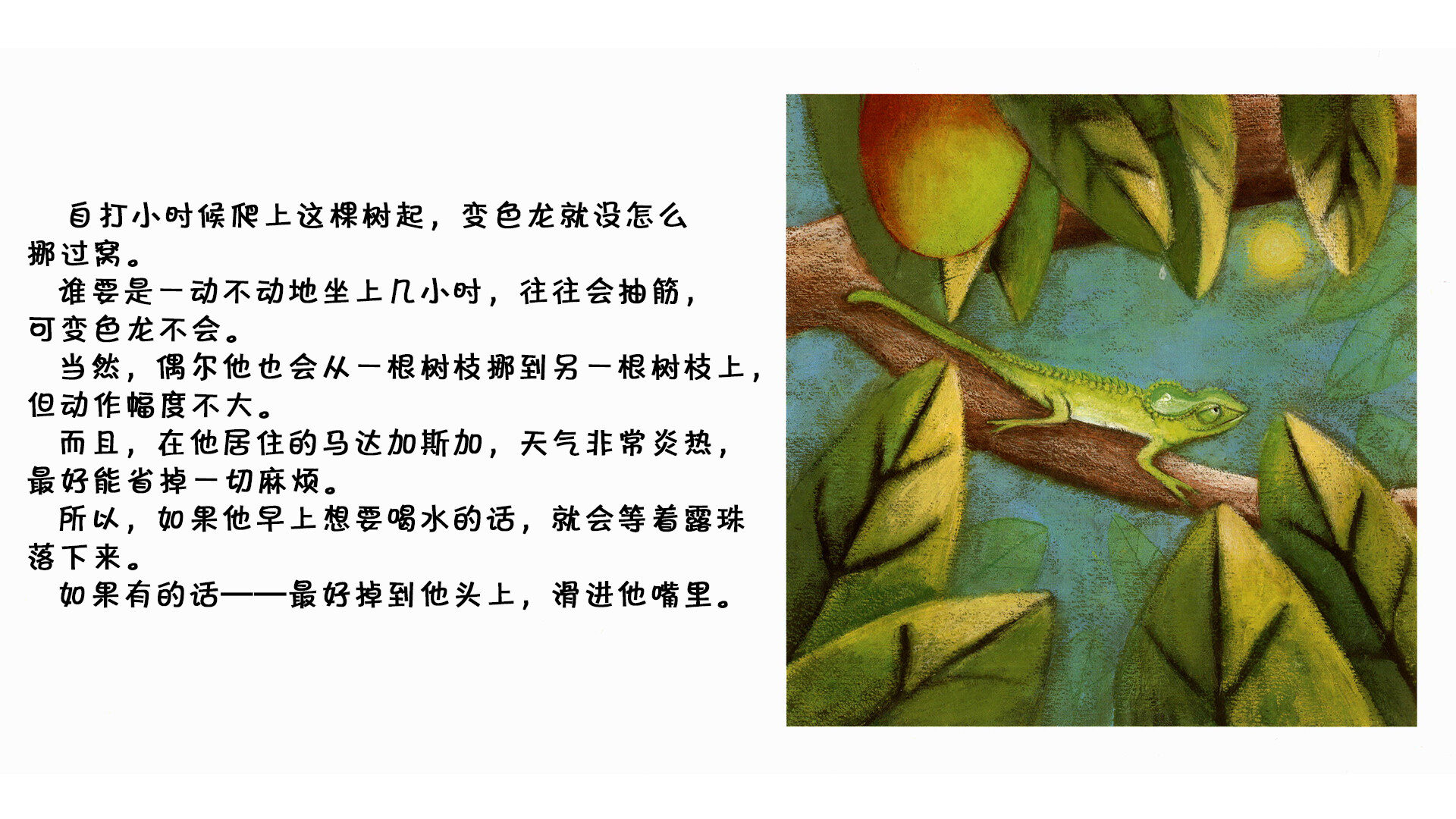 变色龙绘本故事第3页