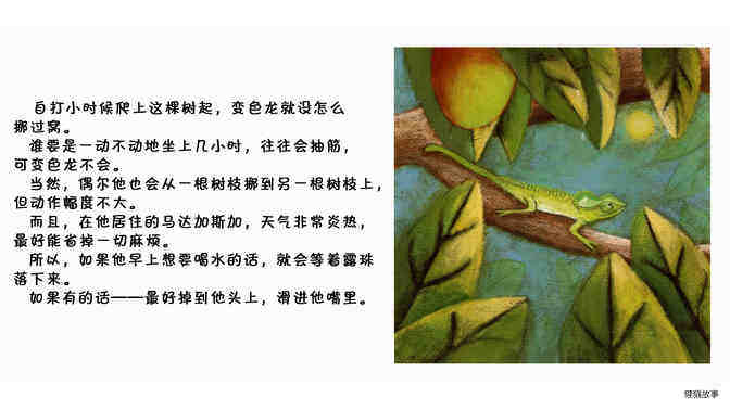 变色龙绘本故事第3页