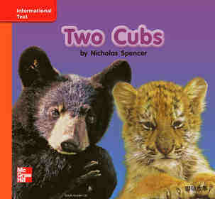 GK Approach U07W1 Two Cubs