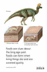 A Look at Fossils绘本故事第3页