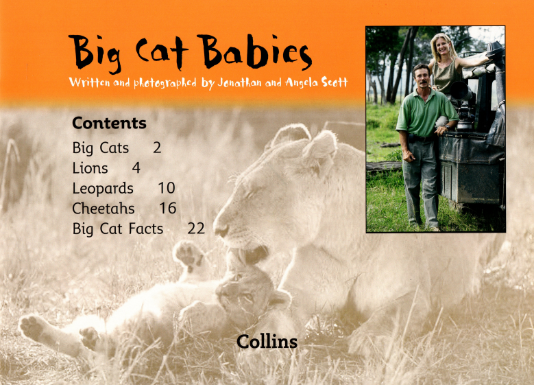 Big Cat Babies绘本故事第2页