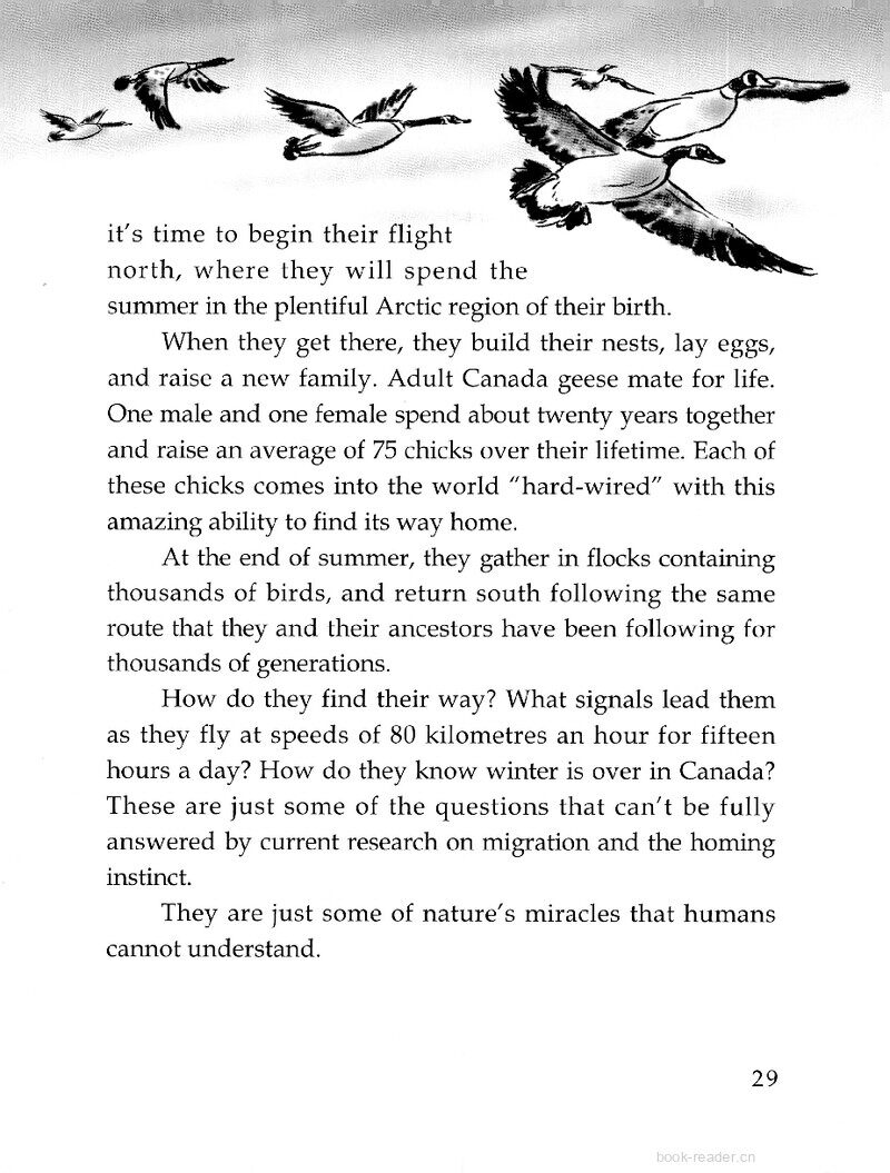 Migration: A Natural Instinct绘本故事第3页