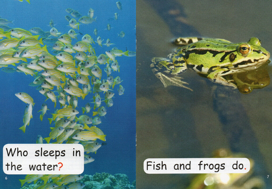 where do animals sleep绘本故事第5页