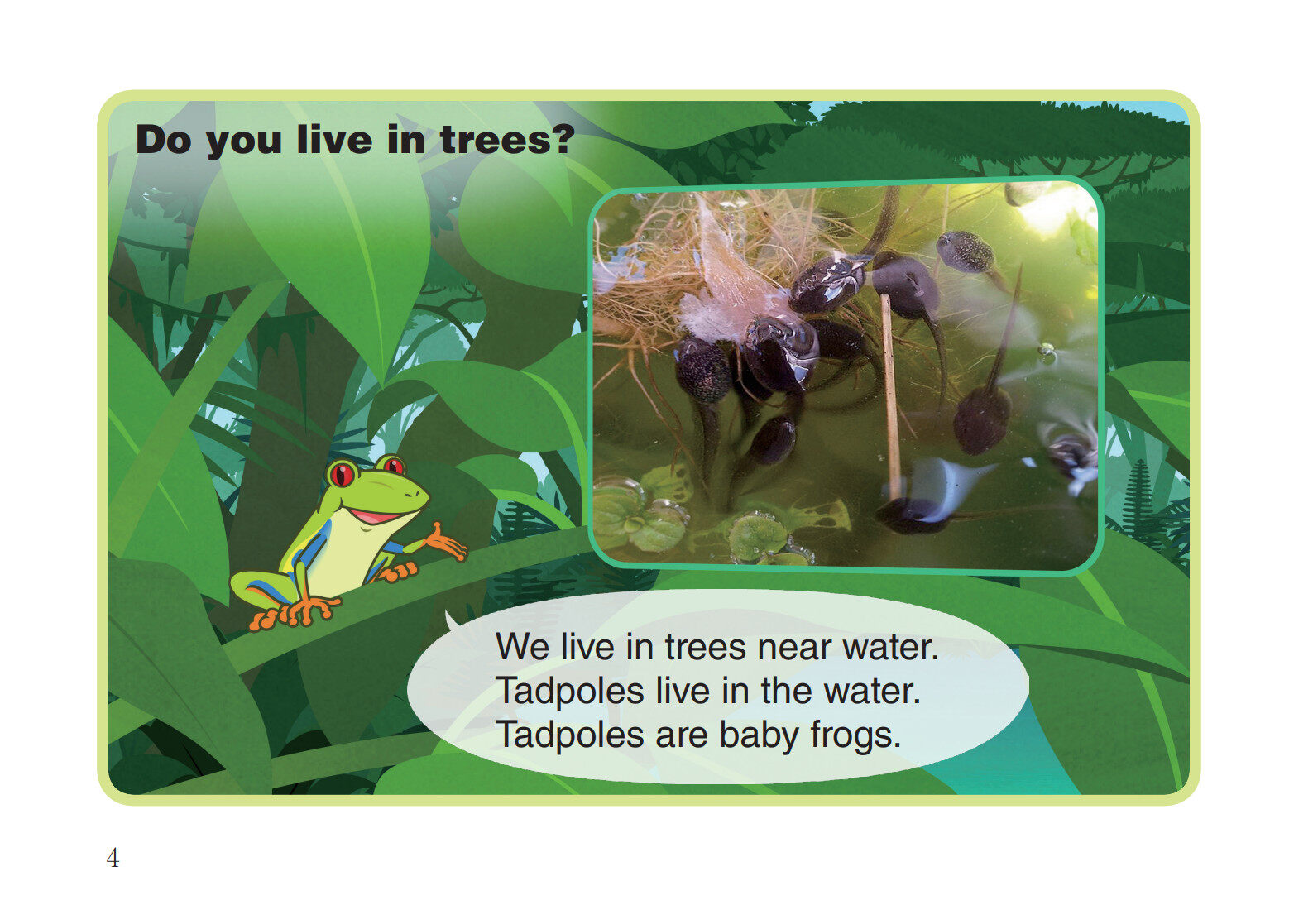 Red-Eyed Tree Frog绘本故事第5页