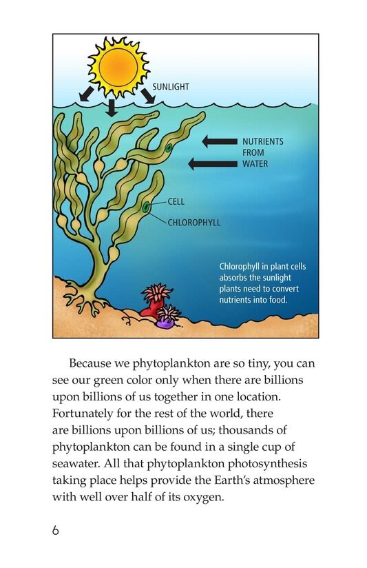 The Amazing Undersea Food Web绘本故事第5页