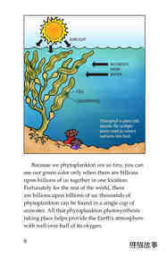 The Amazing Undersea Food Web绘本故事第5页