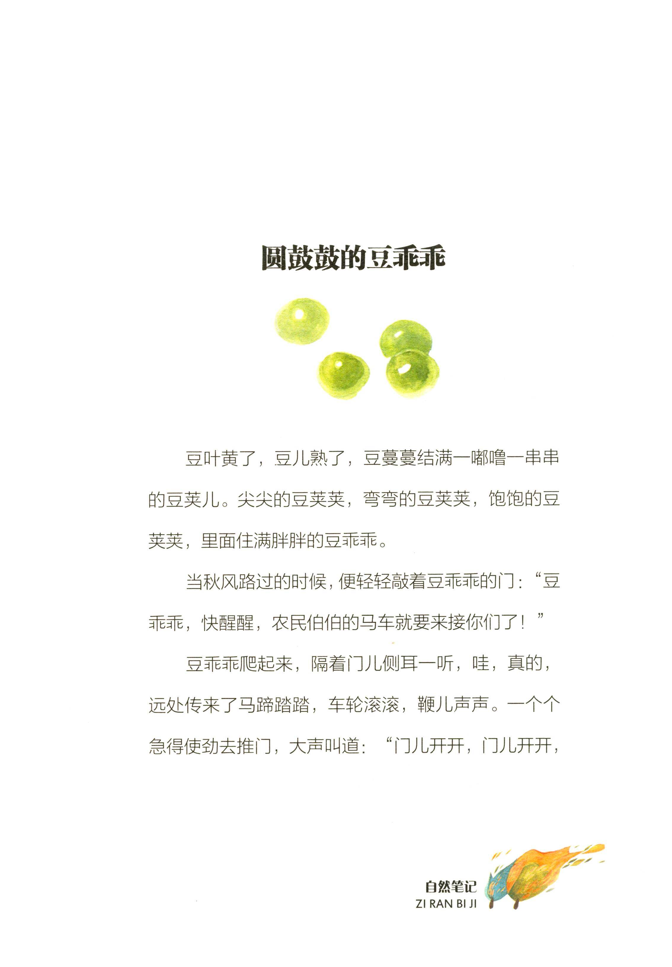 圆鼓鼓的豆乖乖绘本故事第2页