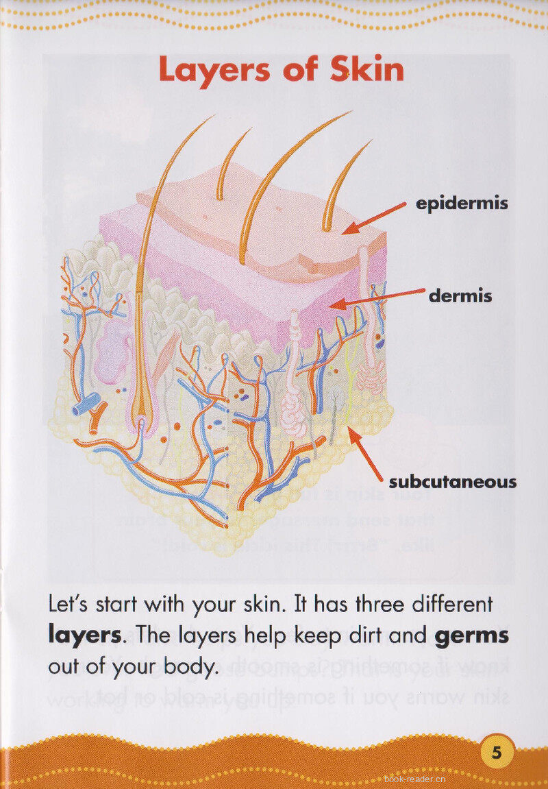 Your Skin and Bones绘本故事第4页