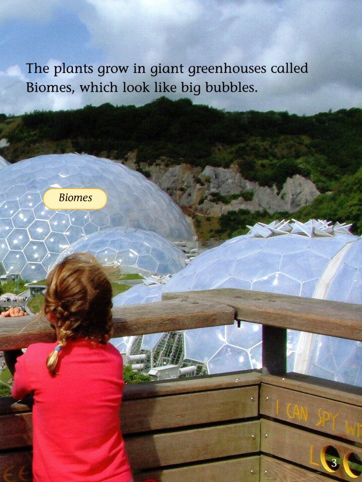 A Day at the Eden Project绘本故事第4页