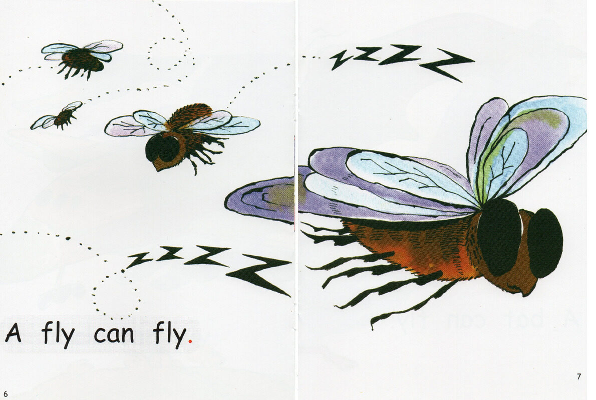 what can fly绘本故事第5页