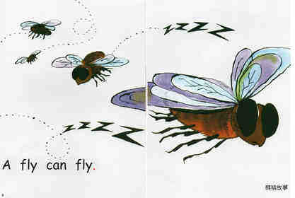 what can fly绘本故事第5页