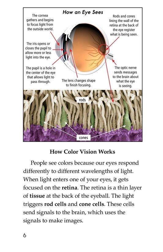 Color Blindness绘本故事第5页