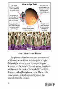Color Blindness绘本故事第5页