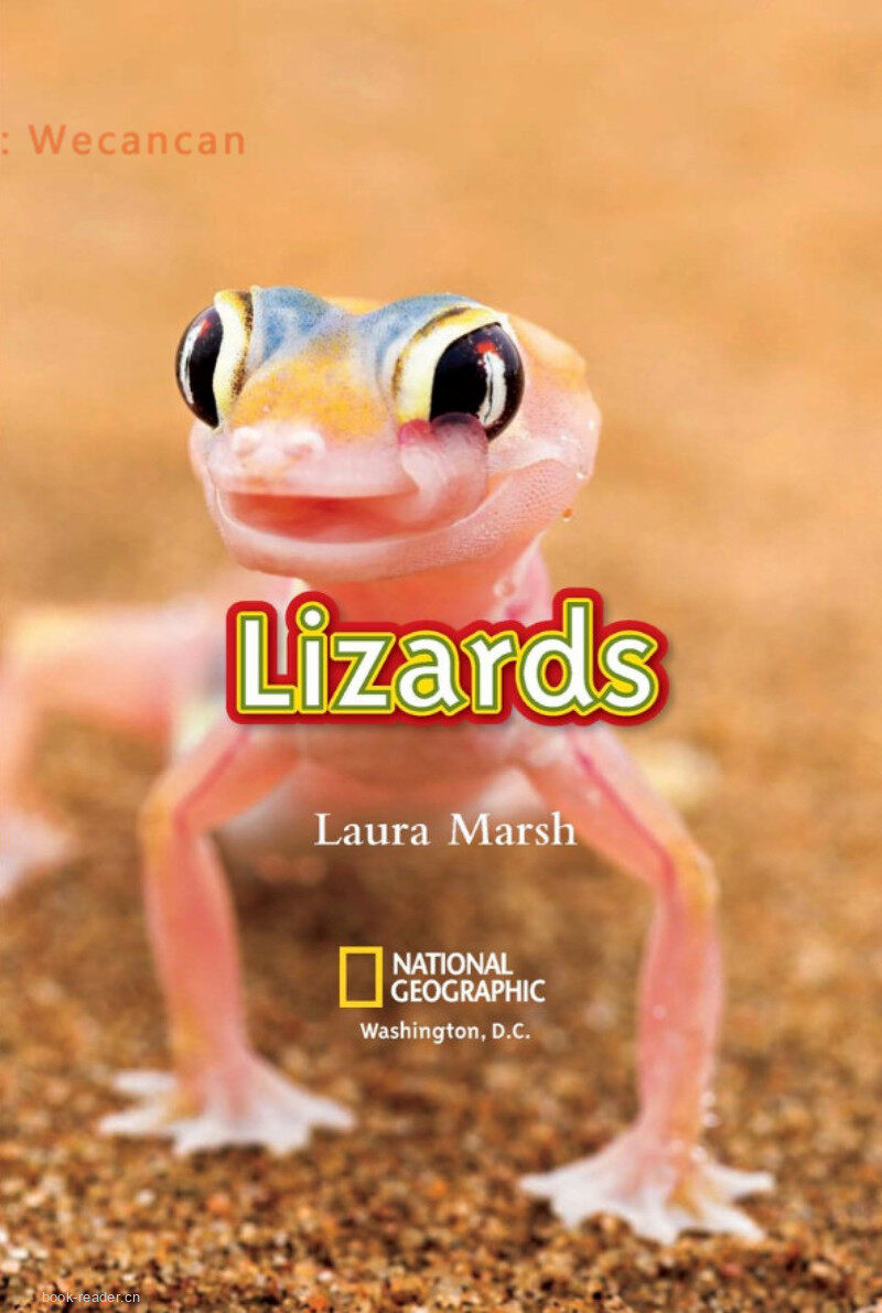 Lizards绘本故事第2页