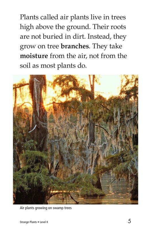 Strange Plants绘本故事第5页