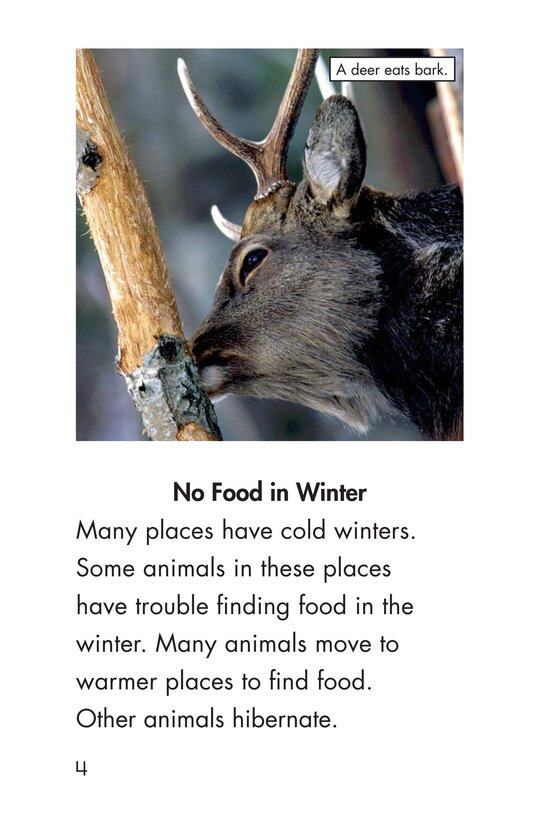 Hibernation绘本故事第3页