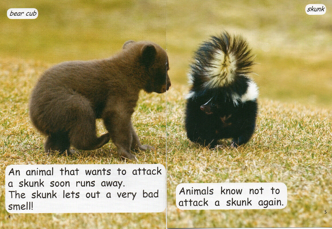 animal defences绘本故事第4页