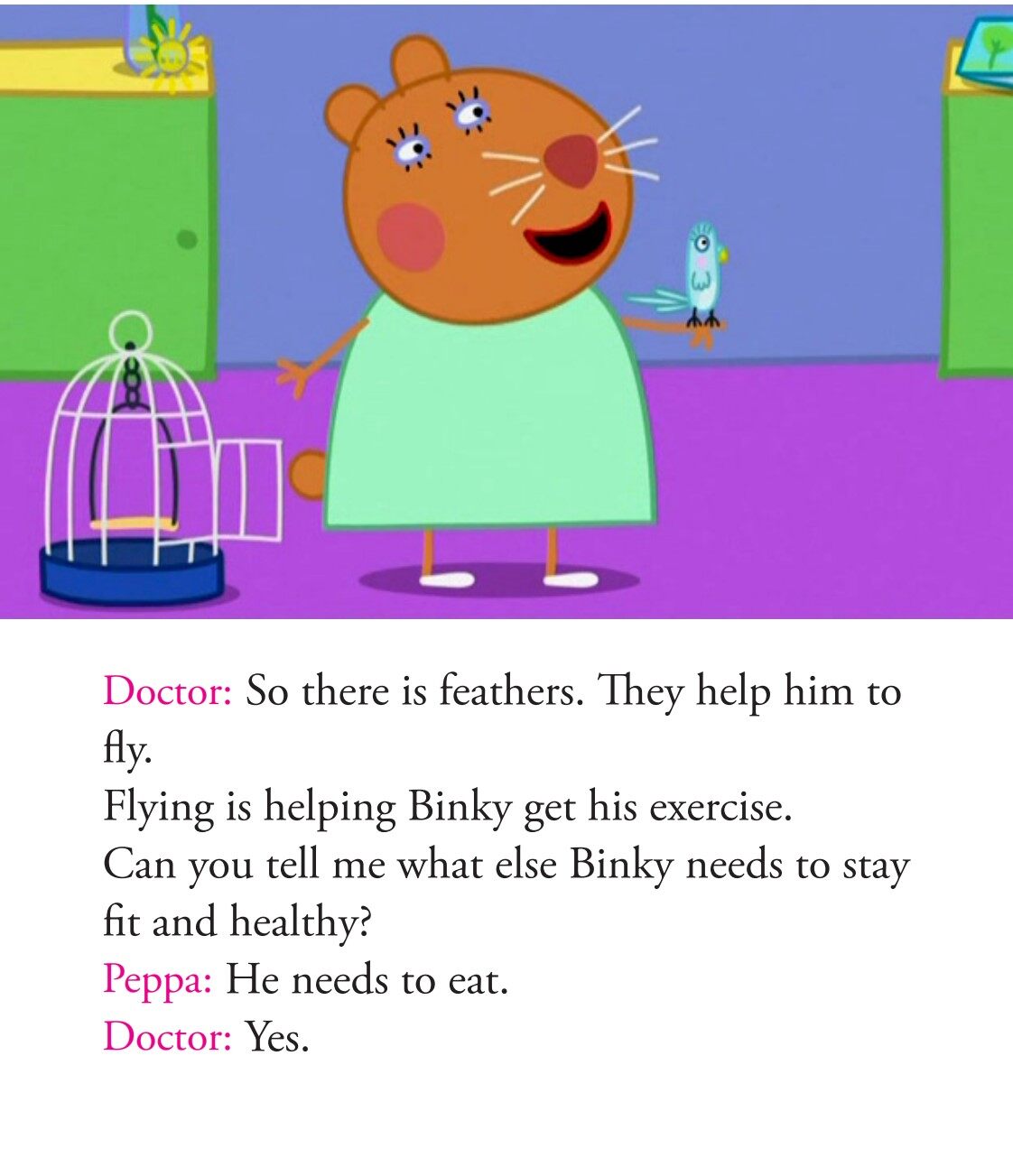 Doctor Hamster's tortoise绘本故事第5页