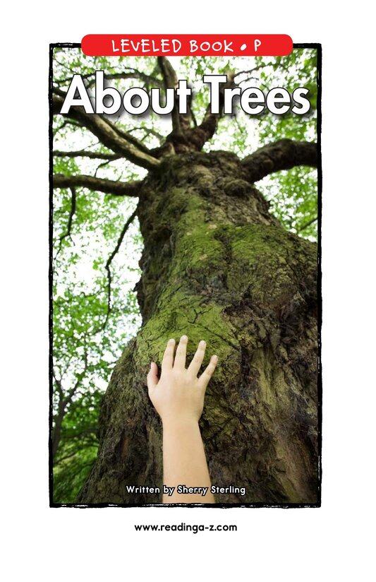 About Trees绘本故事第2页