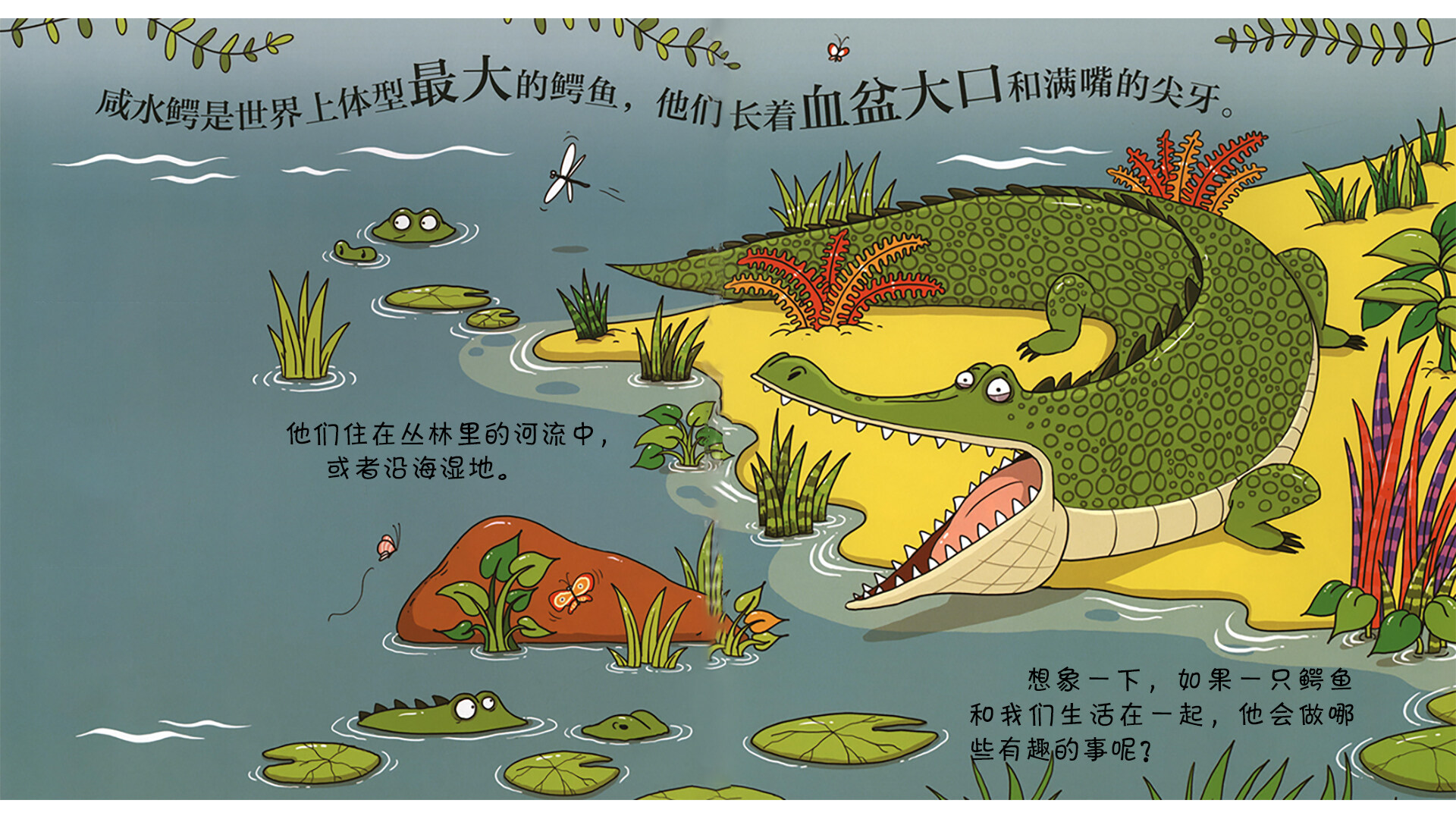 鳄鱼会打篮球吗？绘本故事第3页