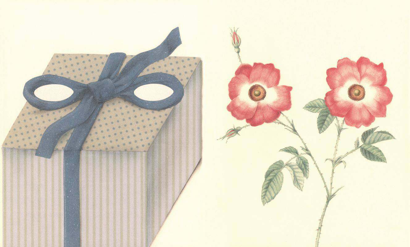 眼绘本故事第3页