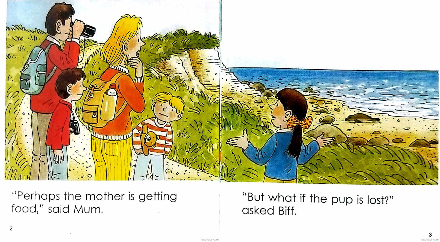 The Seal Pup绘本故事第4页