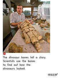 All About Dinosaurs绘本故事第5页