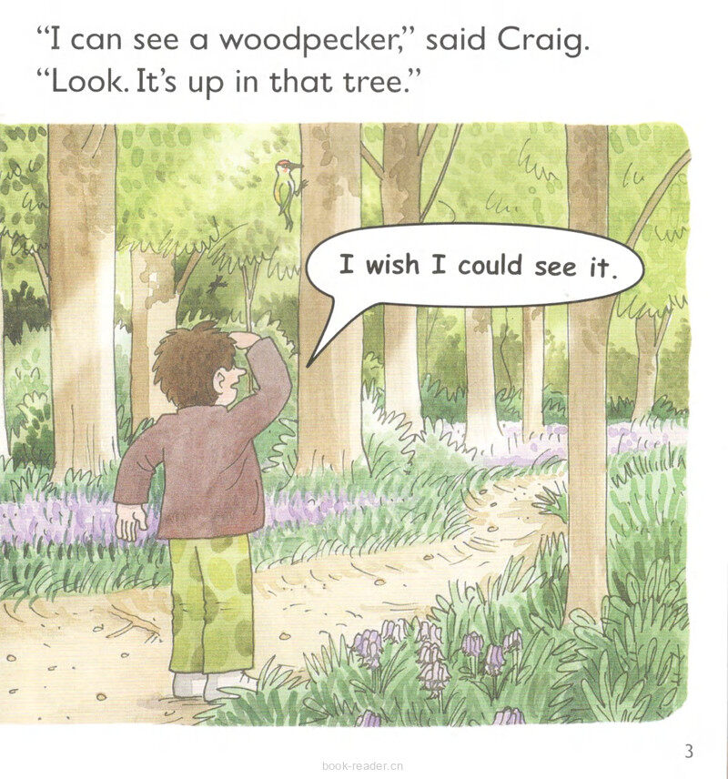 L5 Save Pudding Wood绘本故事第5页