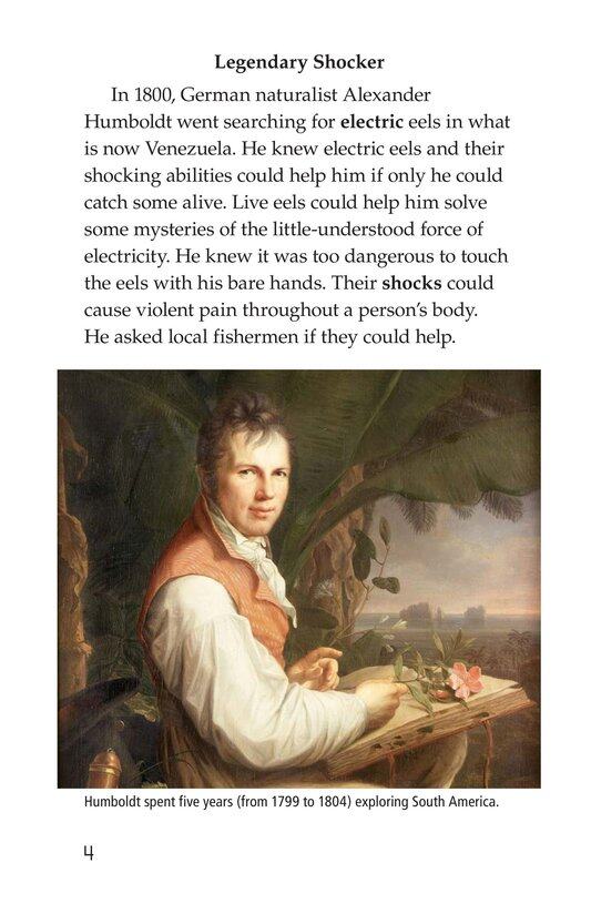 Electric Eels!绘本故事第3页