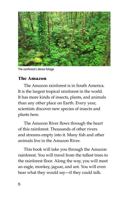 The Amazing Amazon绘本故事第5页