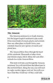The Amazing Amazon绘本故事第5页