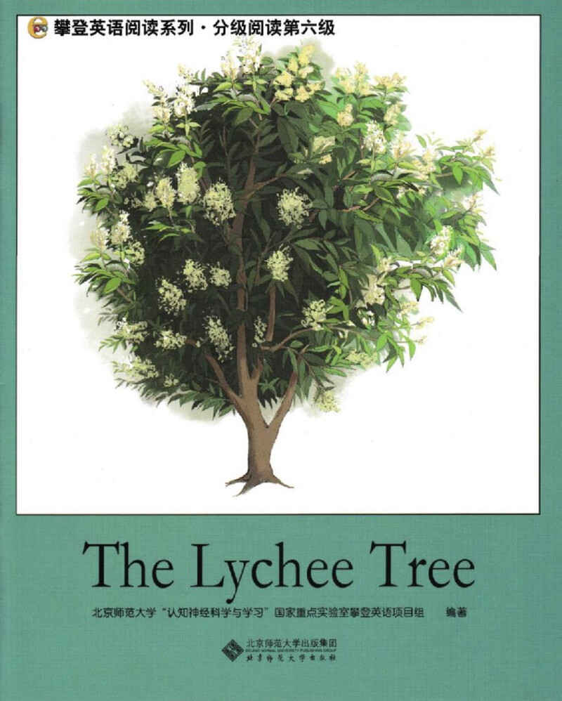 The Lychee Tree绘本故事第2页