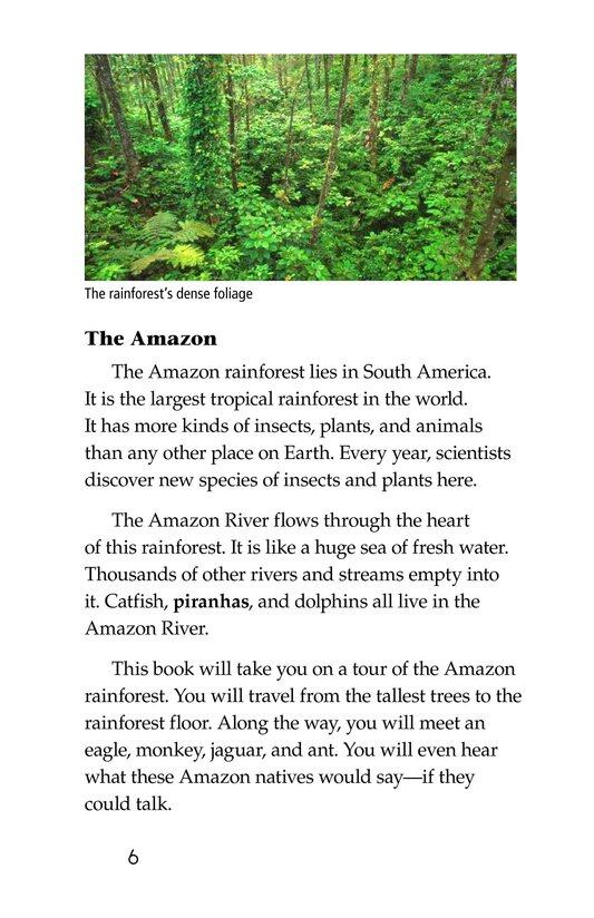The Amazing Amazon绘本故事第5页