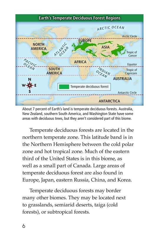 Temperate Deciduous Forests绘本故事第5页
