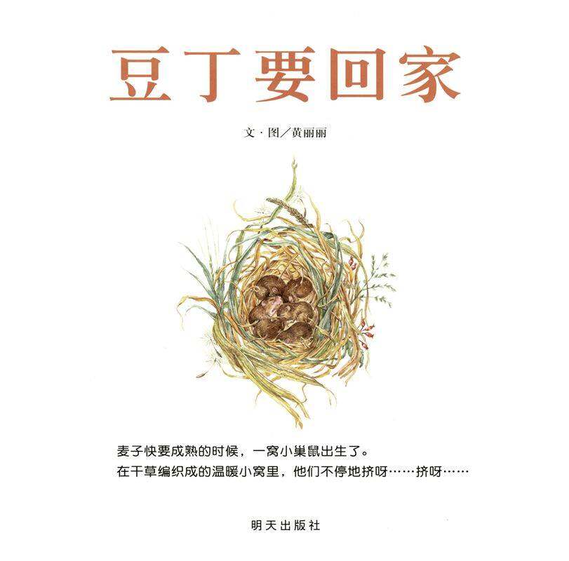 豆丁要回家绘本故事第1页