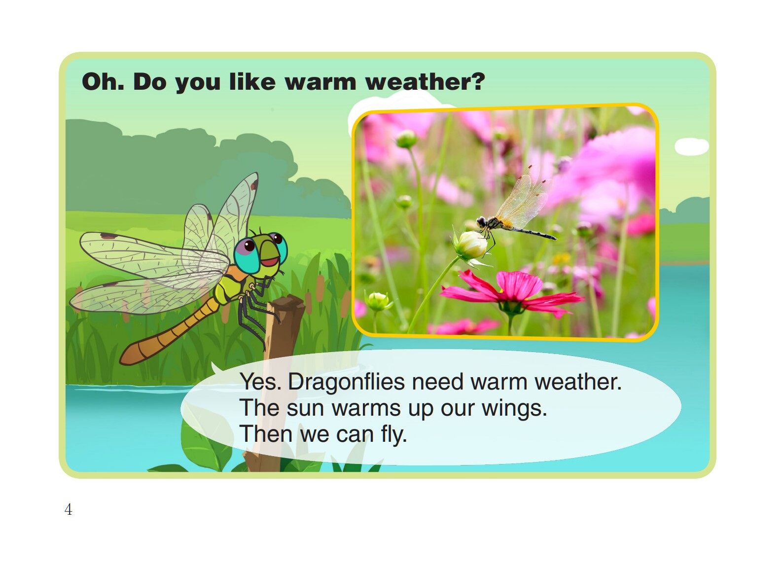 Dragonfly绘本故事第5页