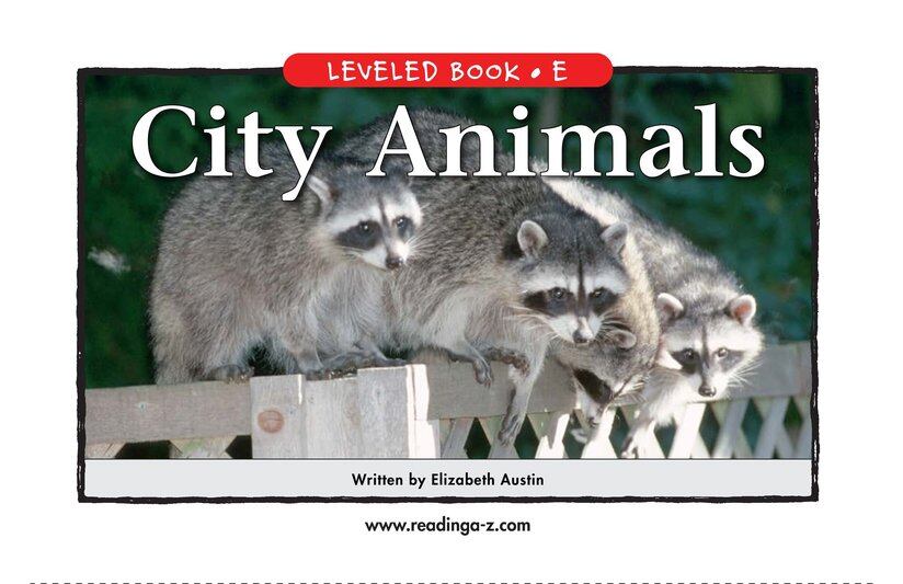 City Animals绘本故事第2页