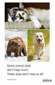 Animal Dads绘本故事第3页