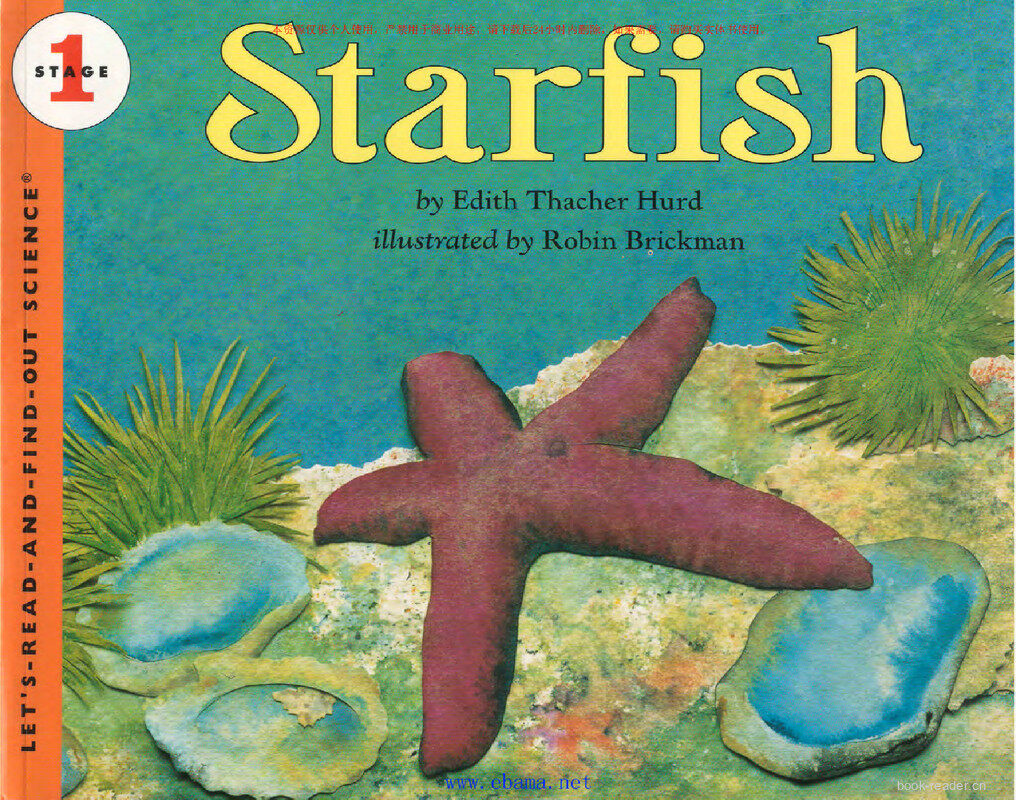 Starfish绘本故事第2页