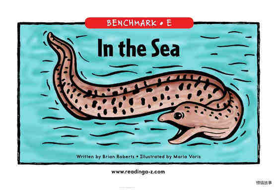 In the Sea绘本故事第2页