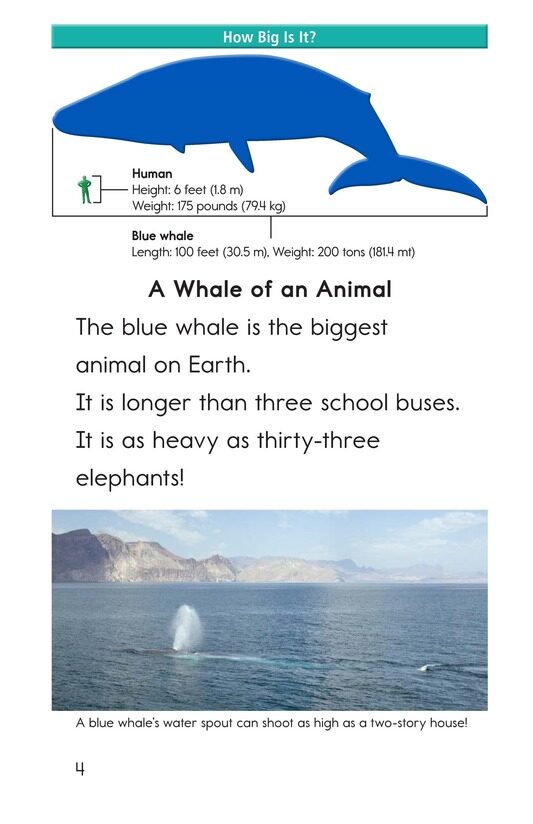 Blue Whales Giant Mammals绘本故事第3页