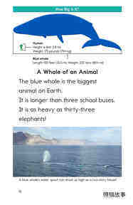 Blue Whales Giant Mammals绘本故事第3页