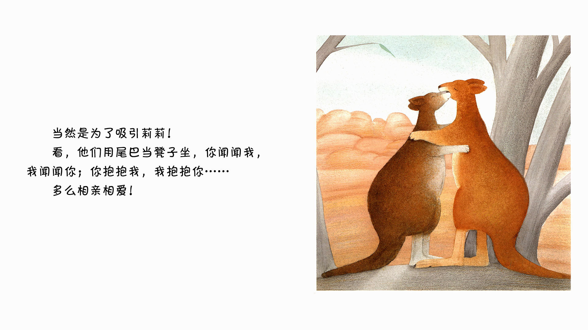 袋鼠绘本故事第4页