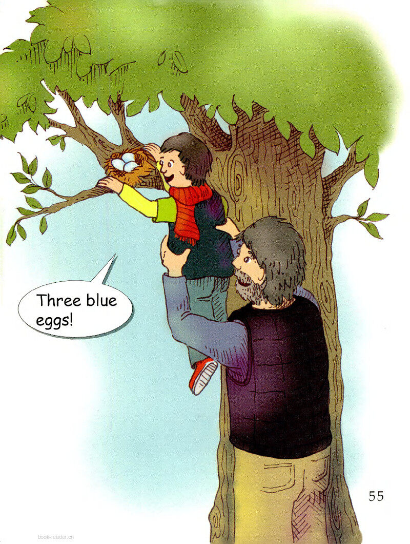 Baby Birds绘本故事第3页